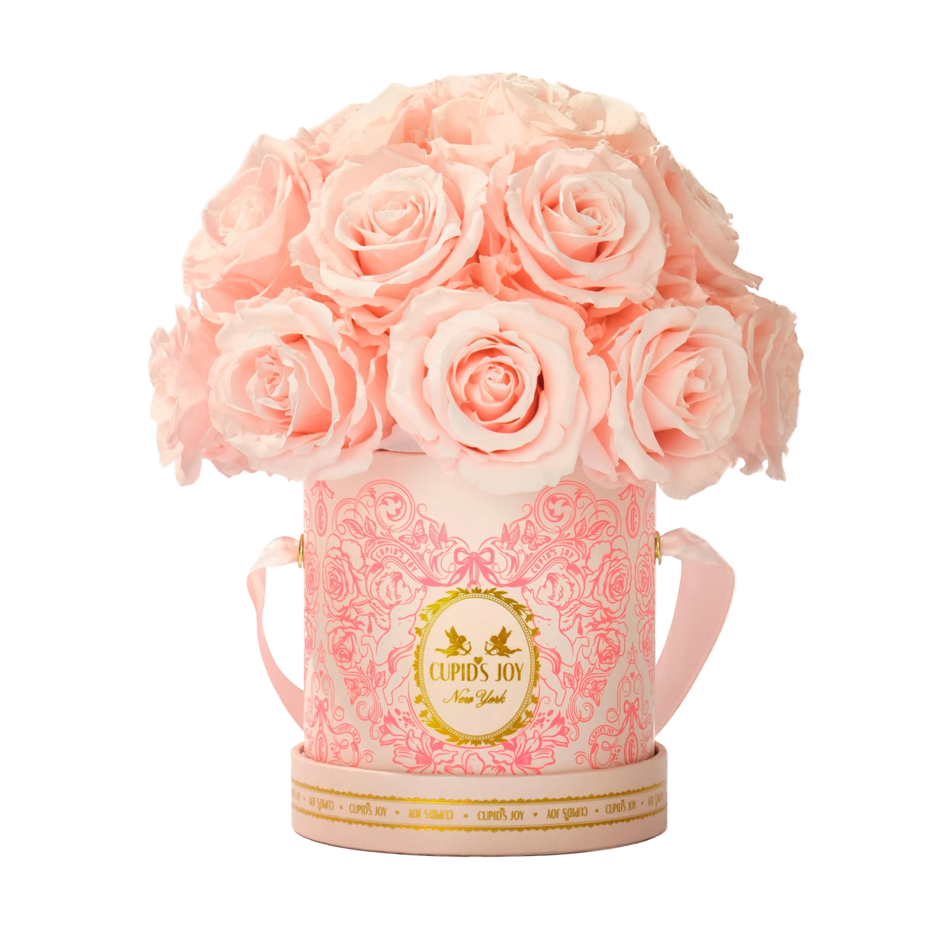 Cupid Rose Box | Dome — Small