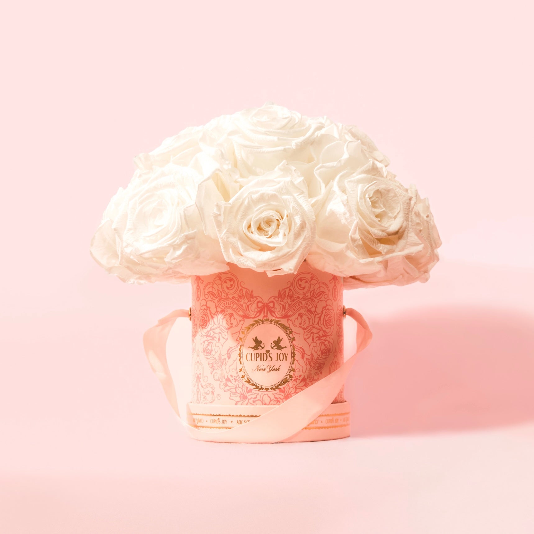 Cupid Rose Box | Dome — Small