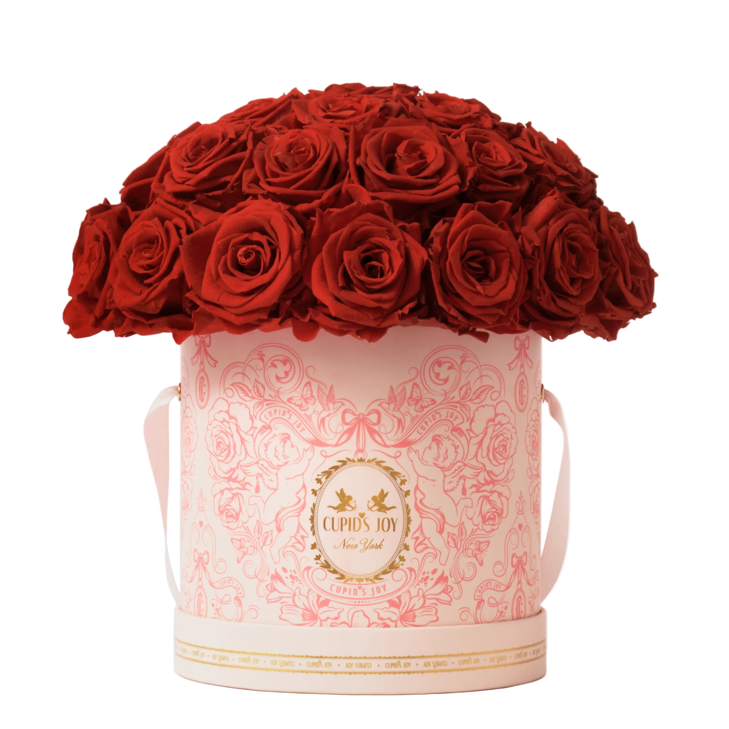 Cupid Rose Box | Dome — Large
