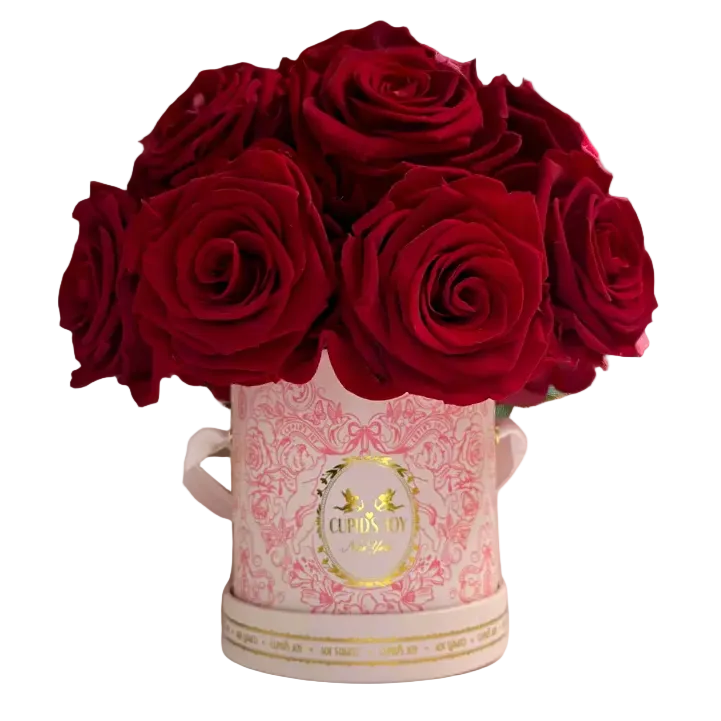 Cupid Rose Box | Dome — Small