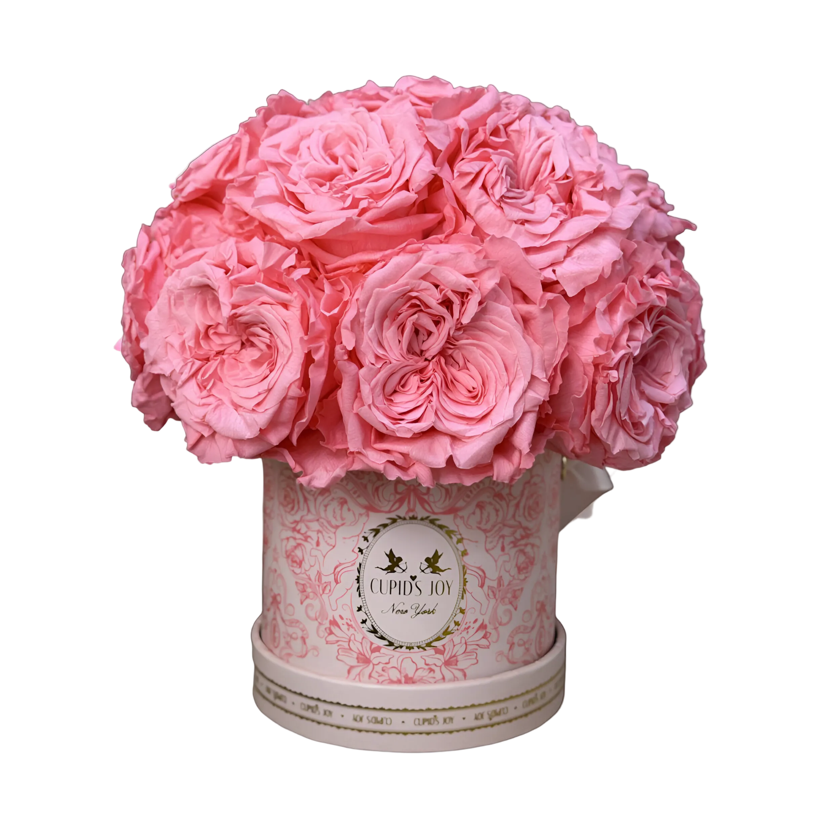 Cupid Rose Box | Dome — Small