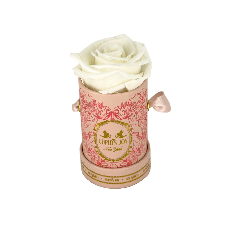 Cupid Rose Box | Single Rose