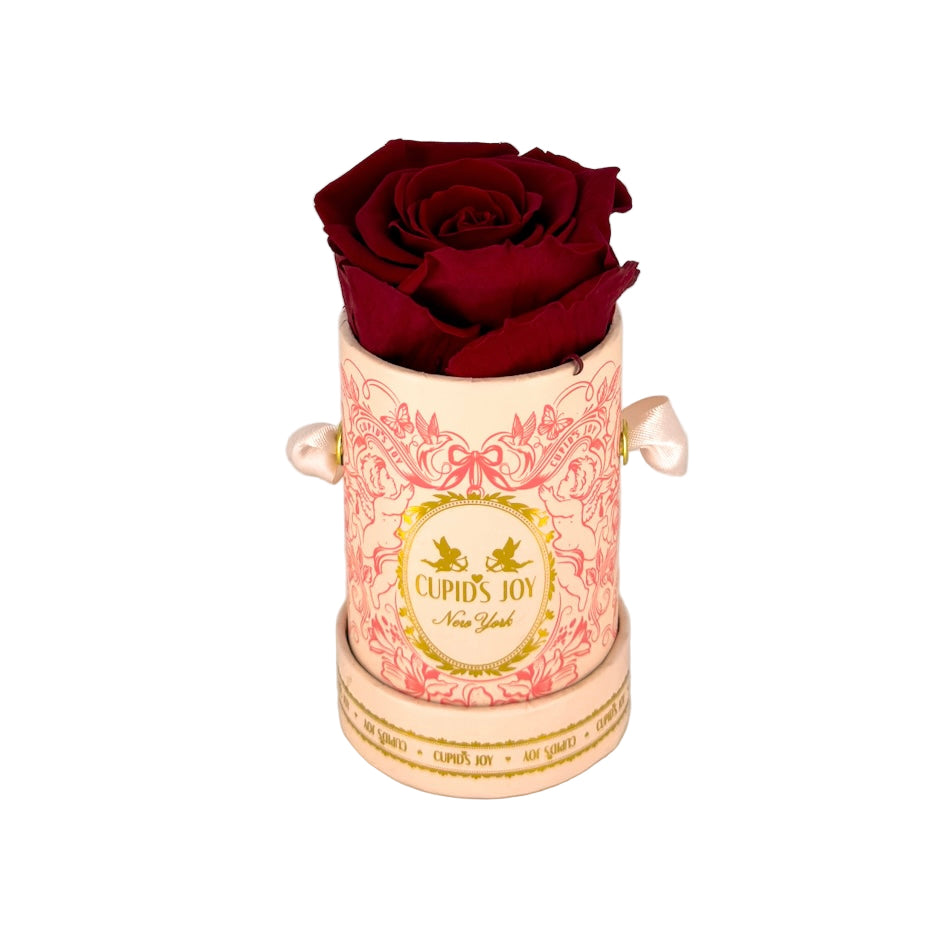 Cupid Rose Box | Single Rose