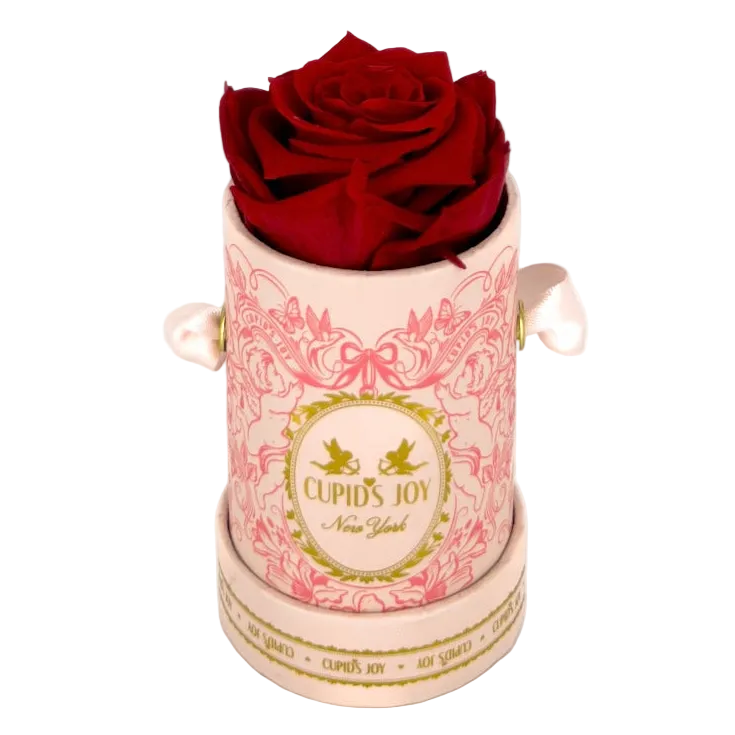 Cupid Rose Box | Single Bloom