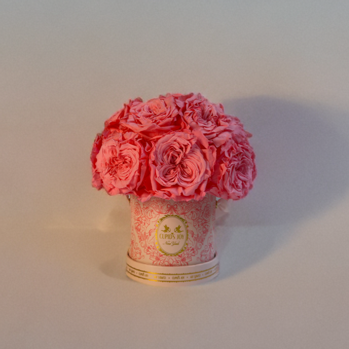 Pink Roses in a rose box on a light background