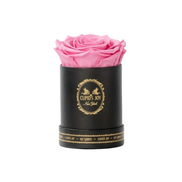 Single Eternal Rose Classic | Black Box