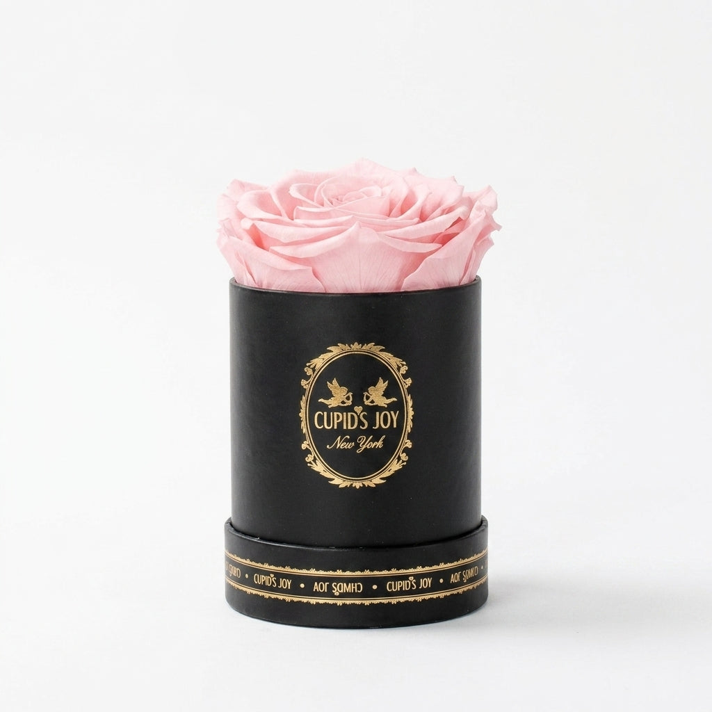Single Eternal Rose Classic | Black Box
