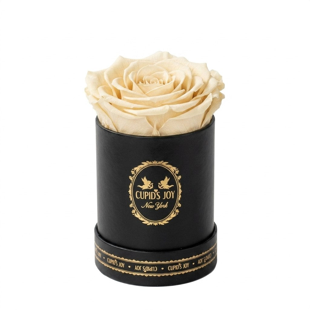 Single Eternal Rose Classic | Black Box