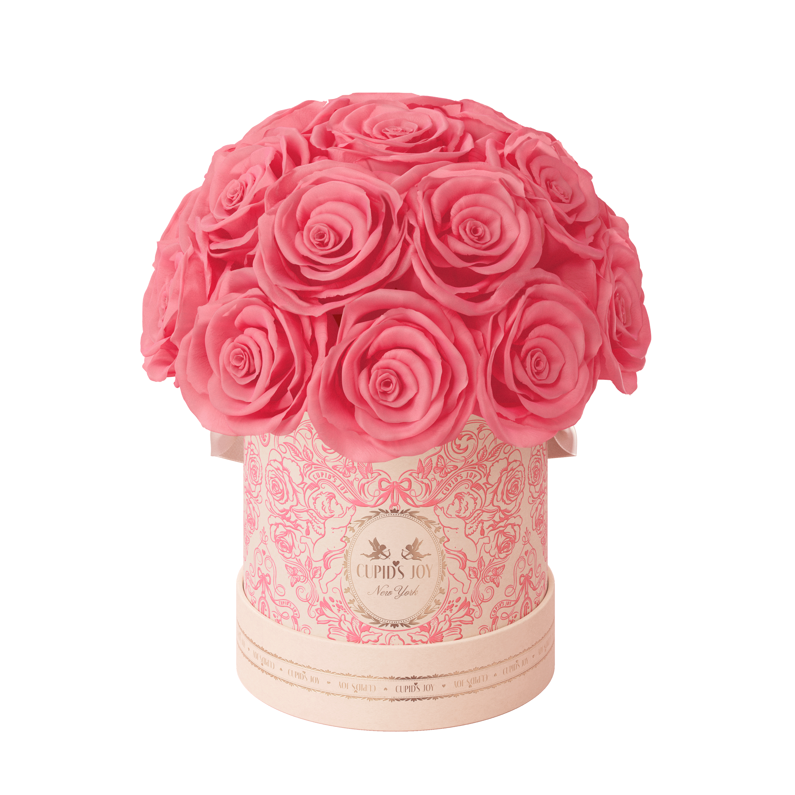 Cupid Rose Box | Dome — Small