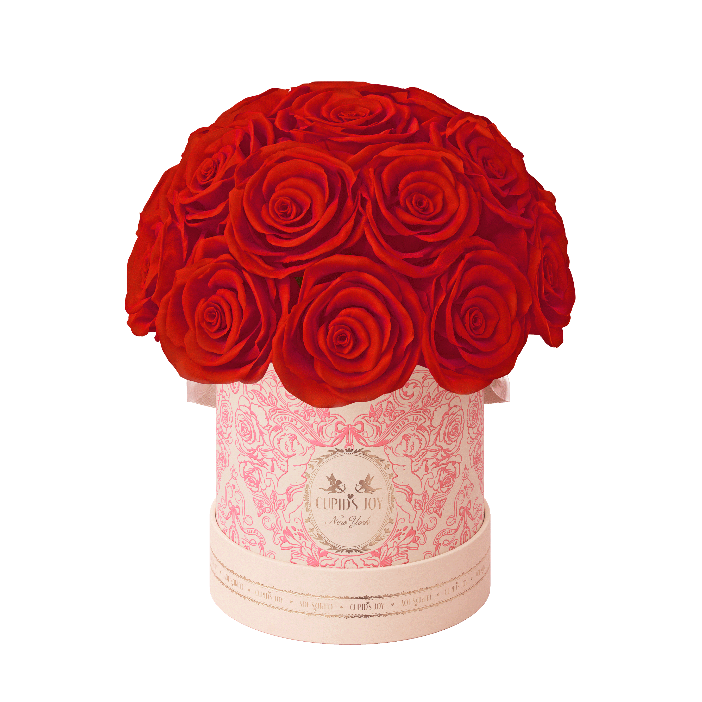 Cupid Rose Box | Dome — Small