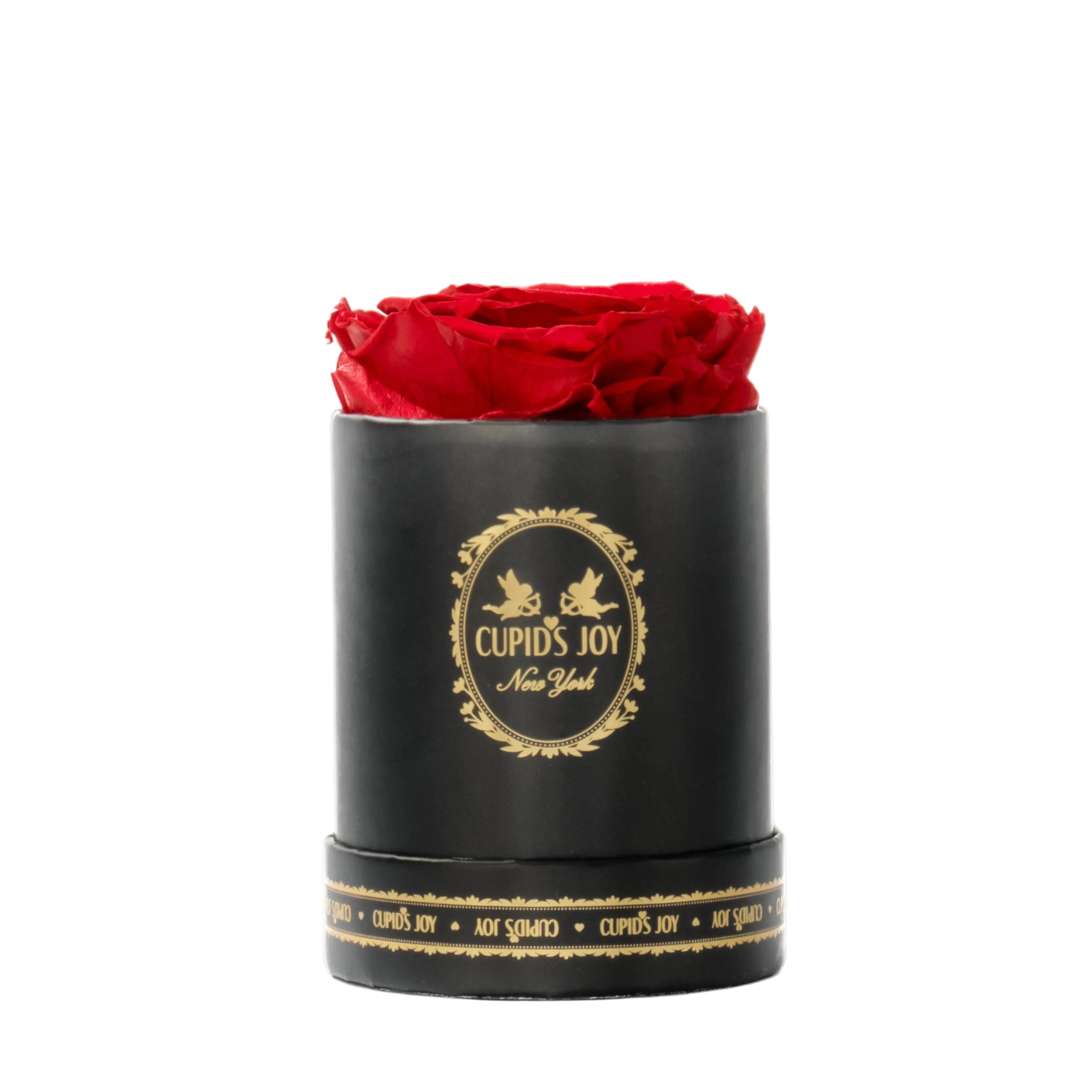 Single Eternal Rose Classic | Black Box