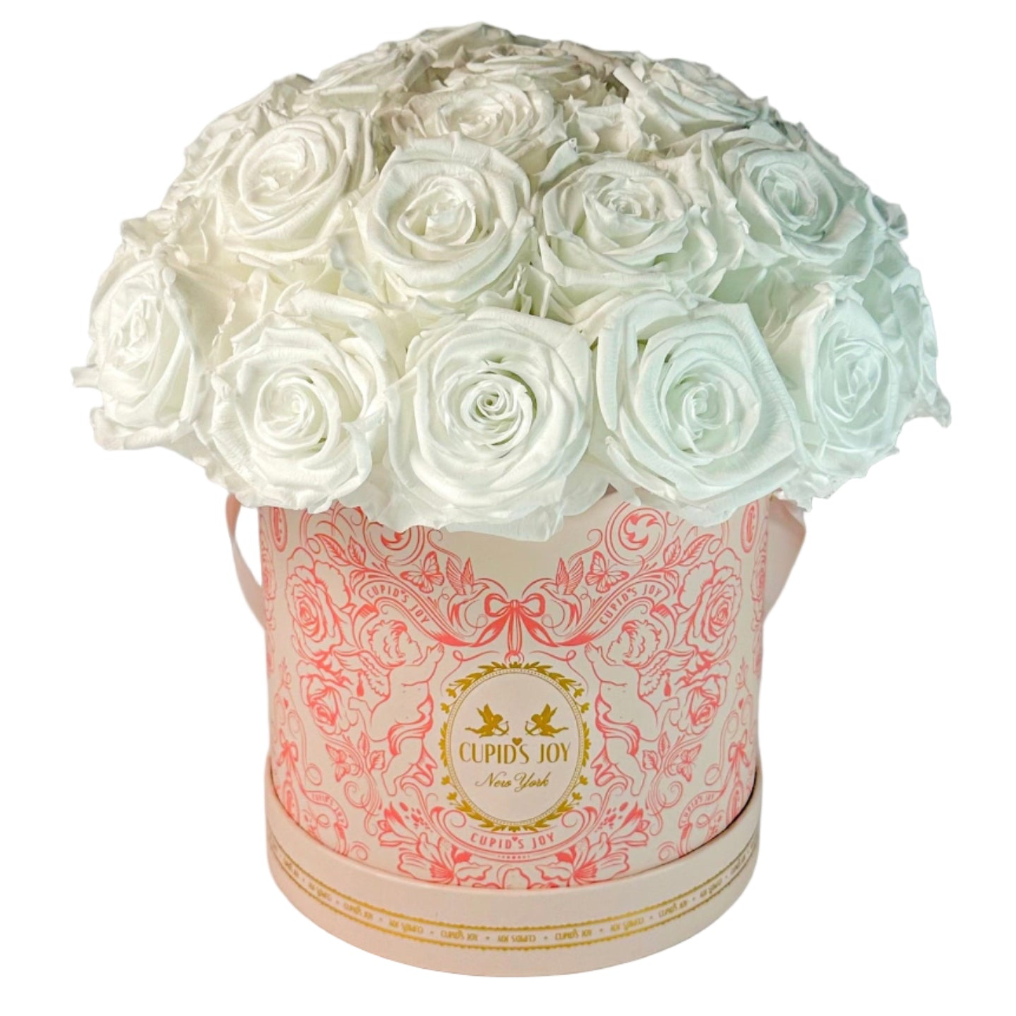 Cupid Rose Box | Dome — Large