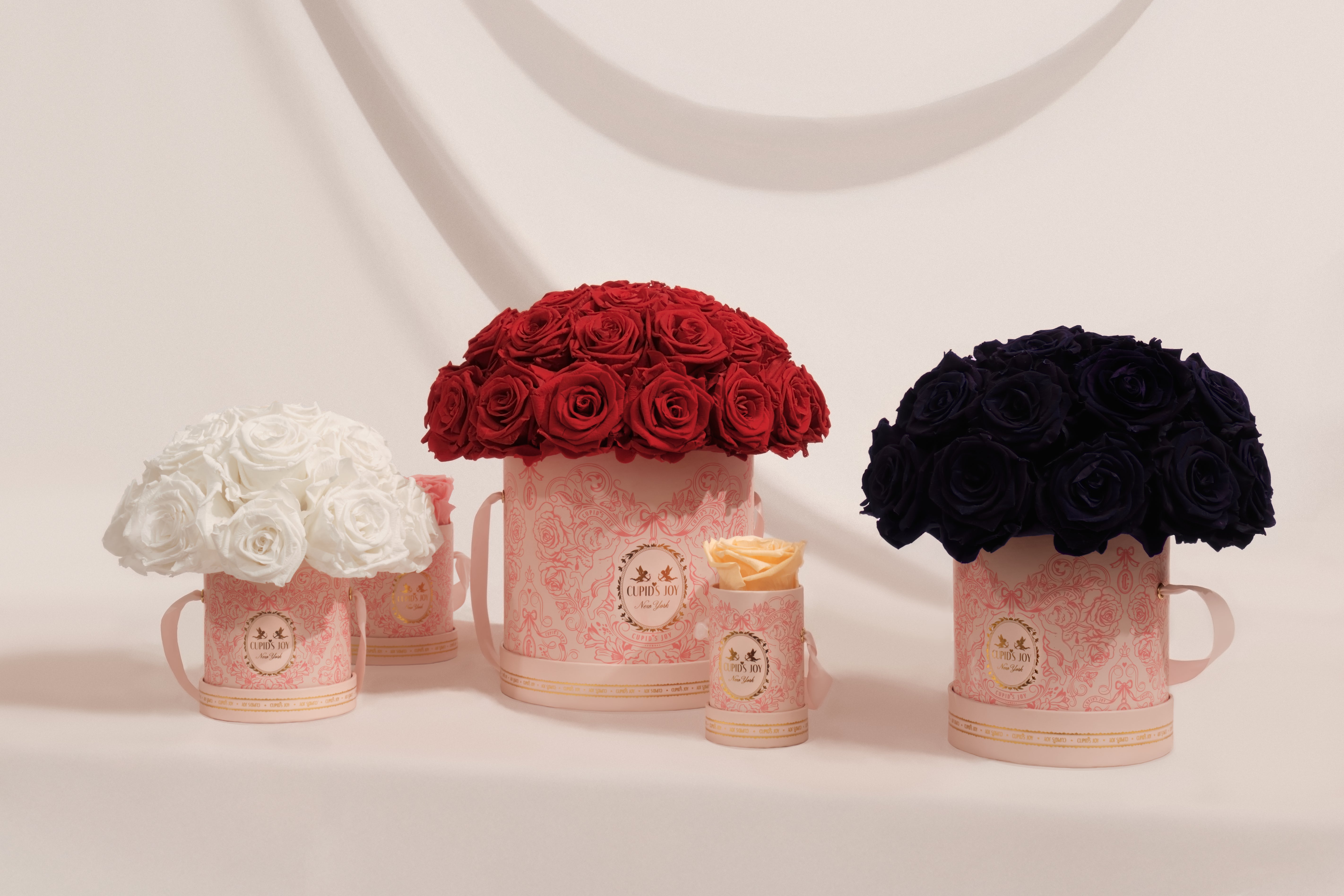 Eternal Roses Collection