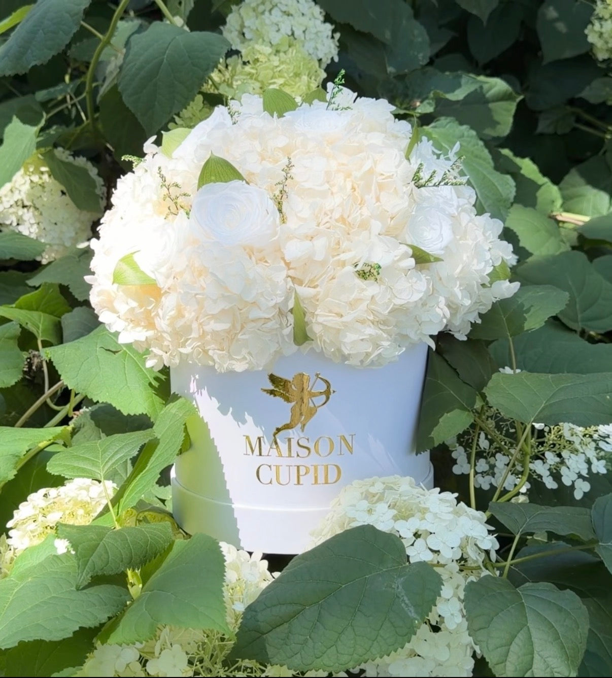 Eternal White Hydrangea & Rose Arrangement - Large
