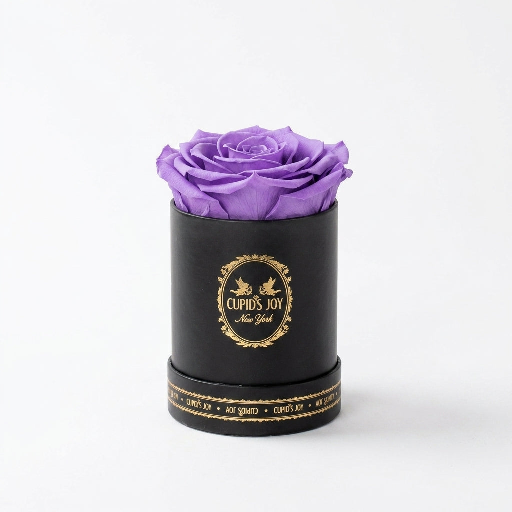 Single Eternal Rose Classic | Black Box