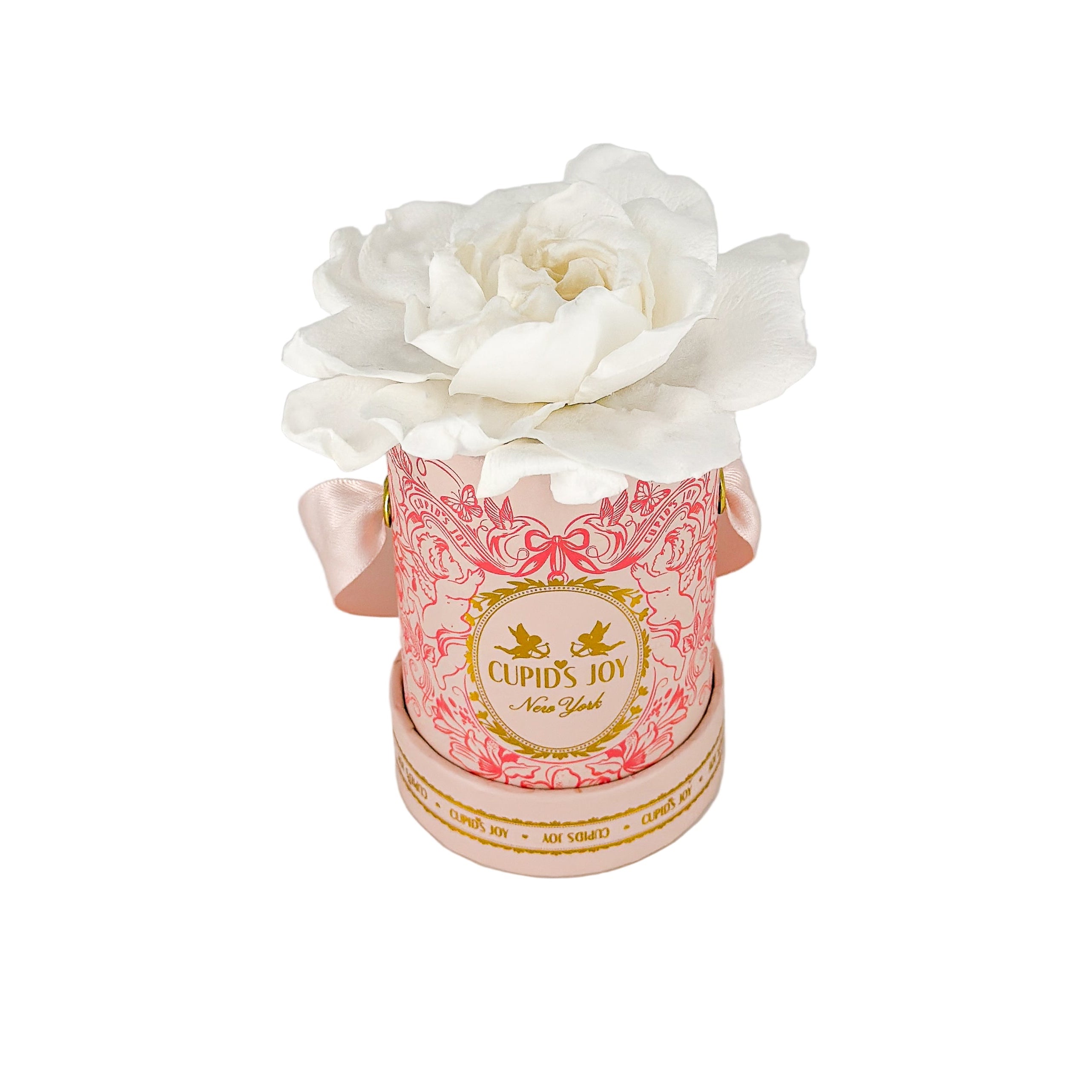 Cupid Gardenia Box | Single Bloom