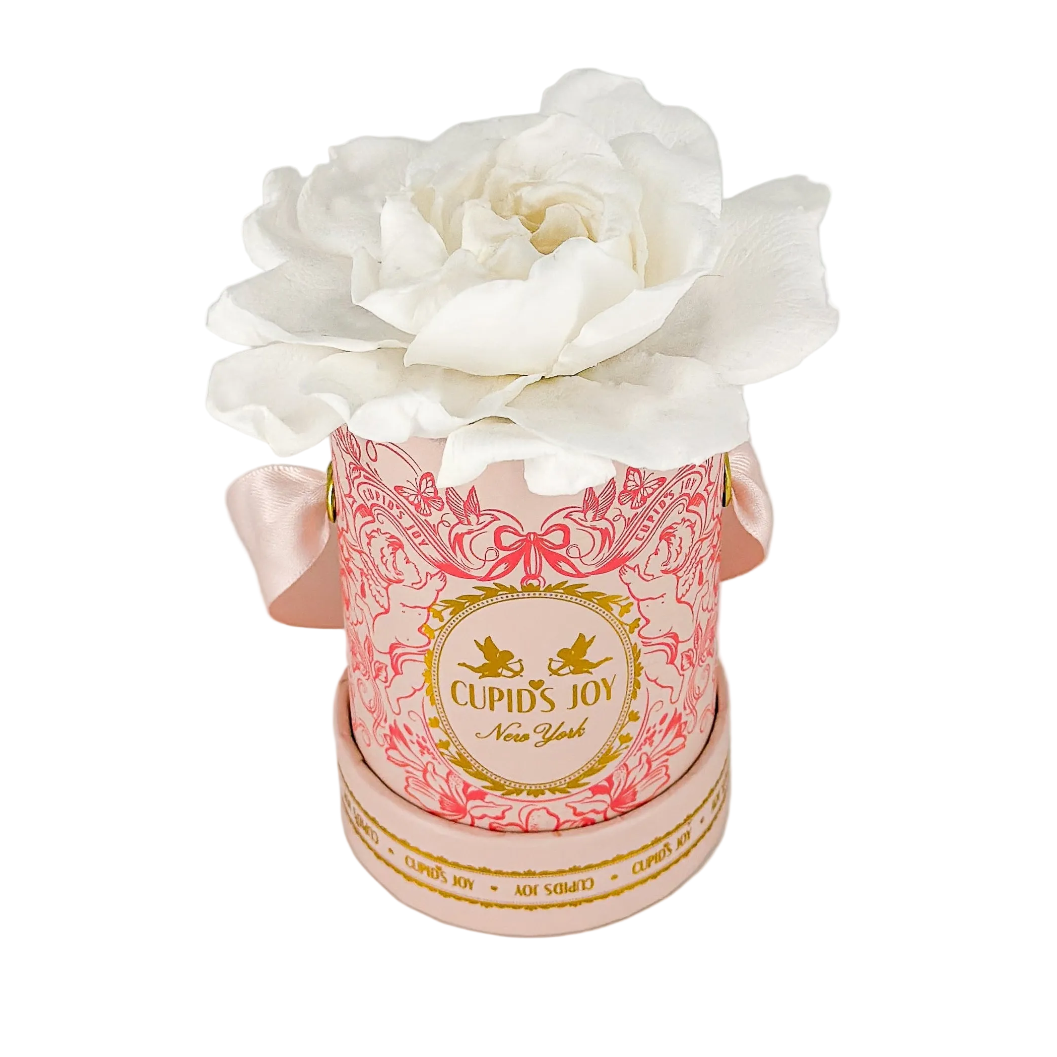 Cupid Gardenia Box | Single Bloom