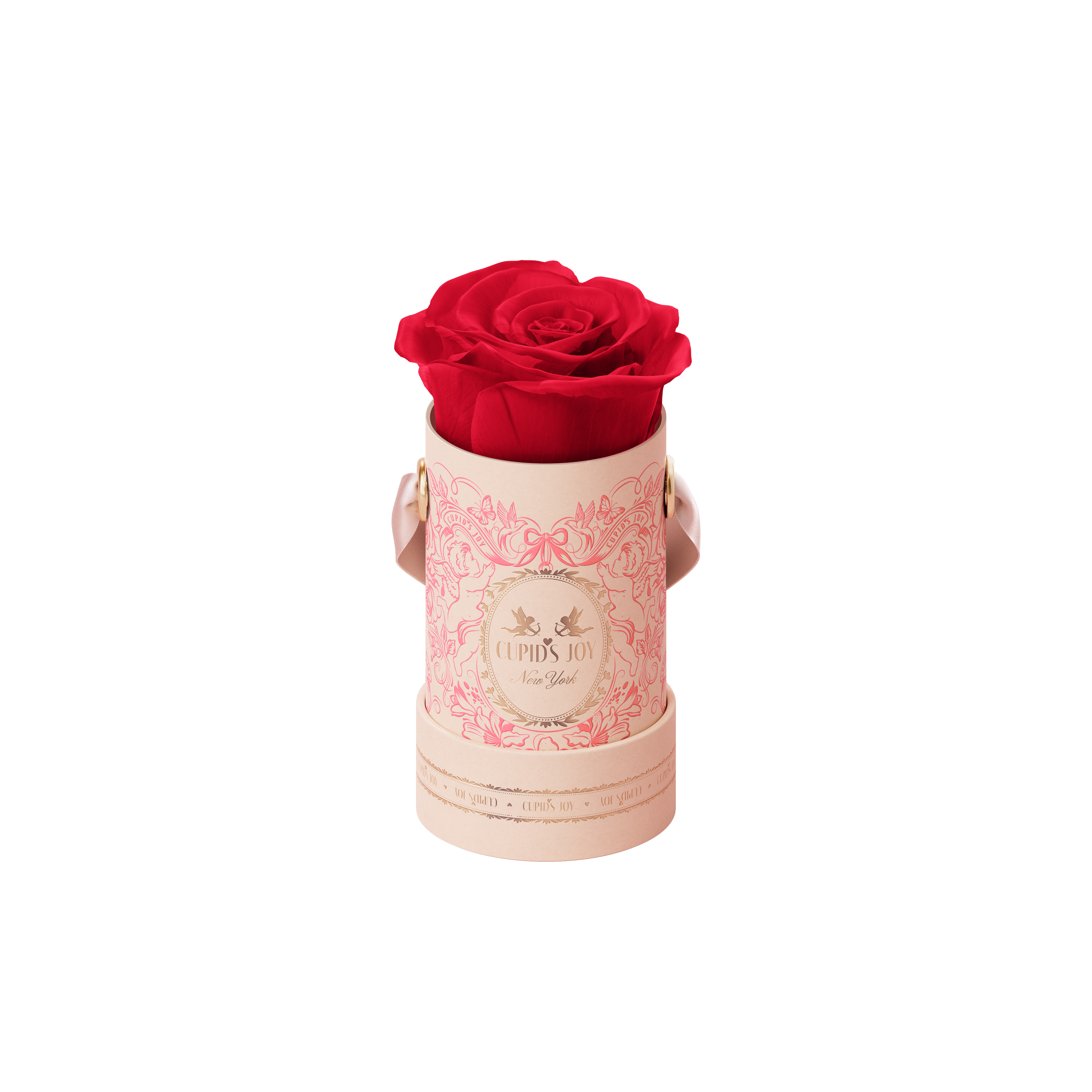 Cupid Rose Box |  Single Rose