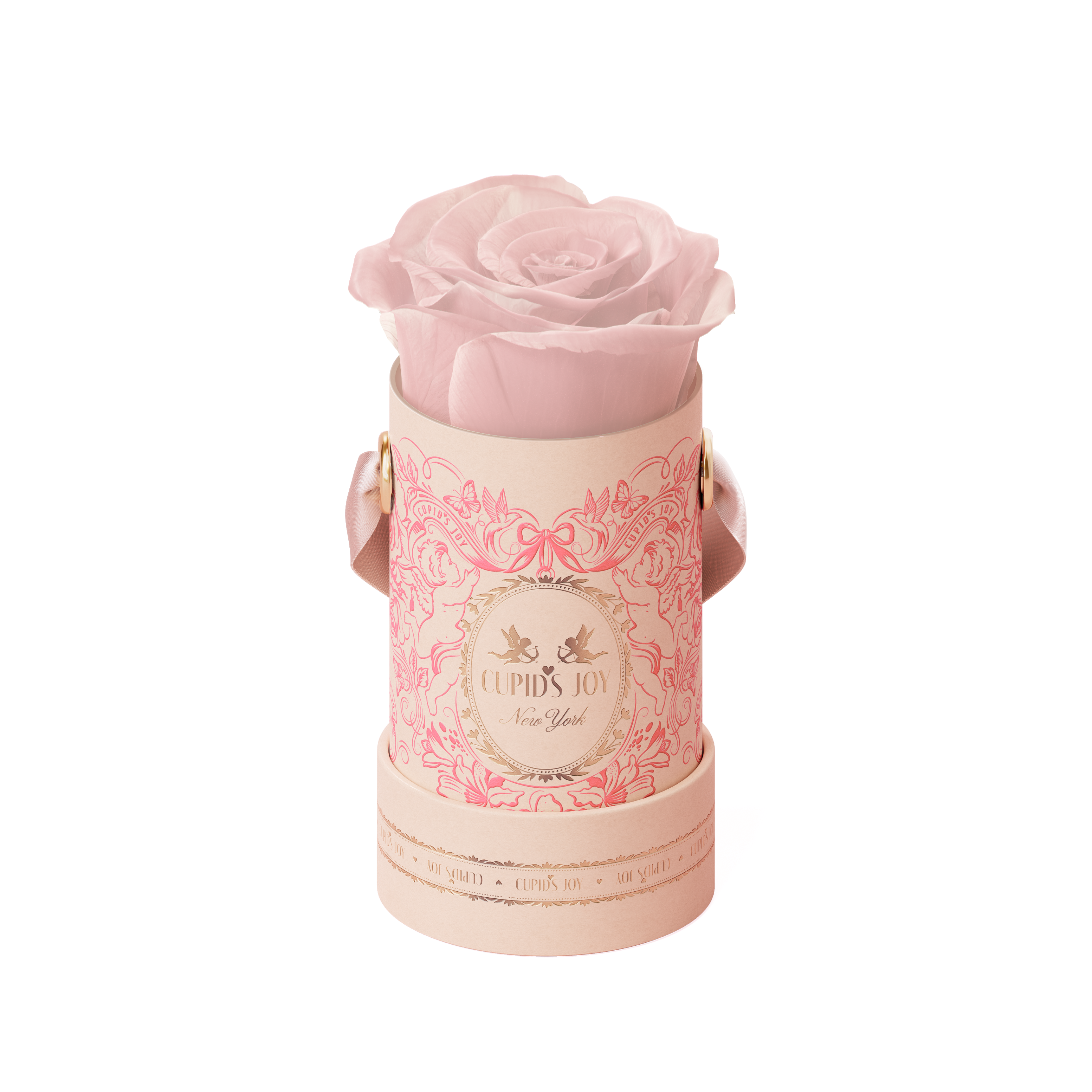 Pink forever rose in a maison cupid pink hat box on a white background