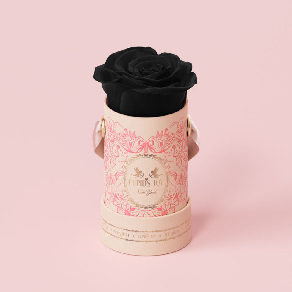 Black rose in a cupid motif parisian hat box on a pink background