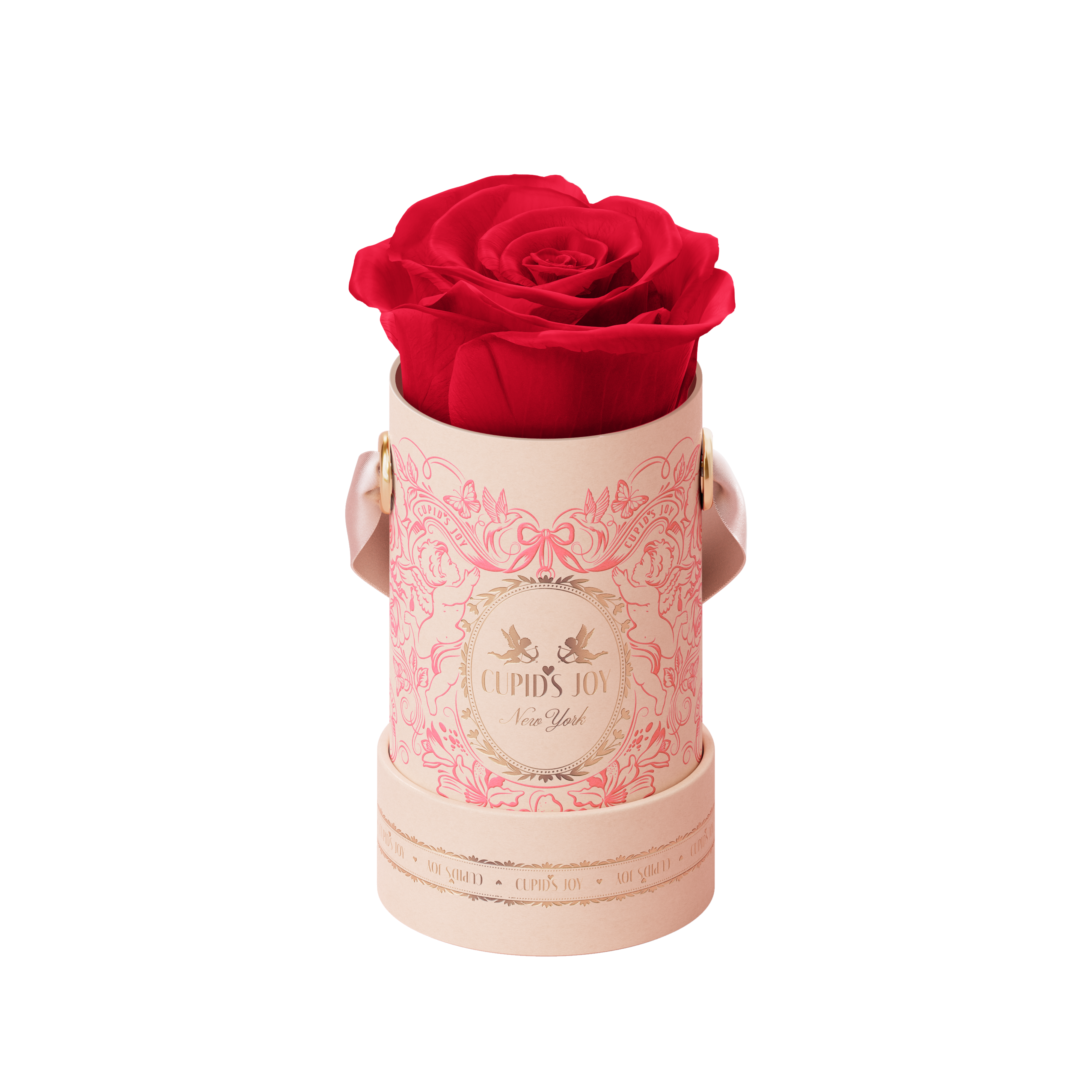Red rose in a maison cupid heart box on a white background