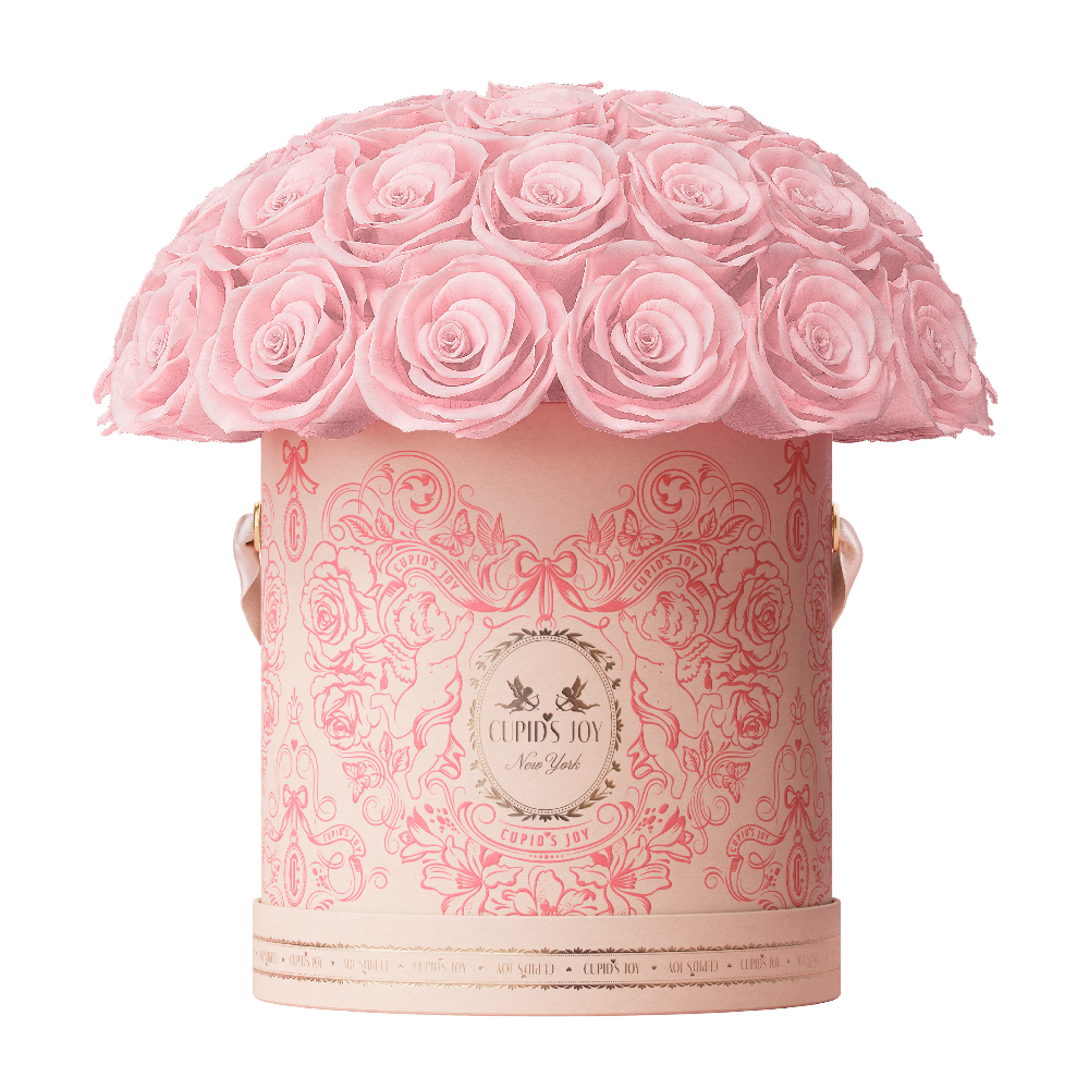 Cupid Rose Box | Dome — Large