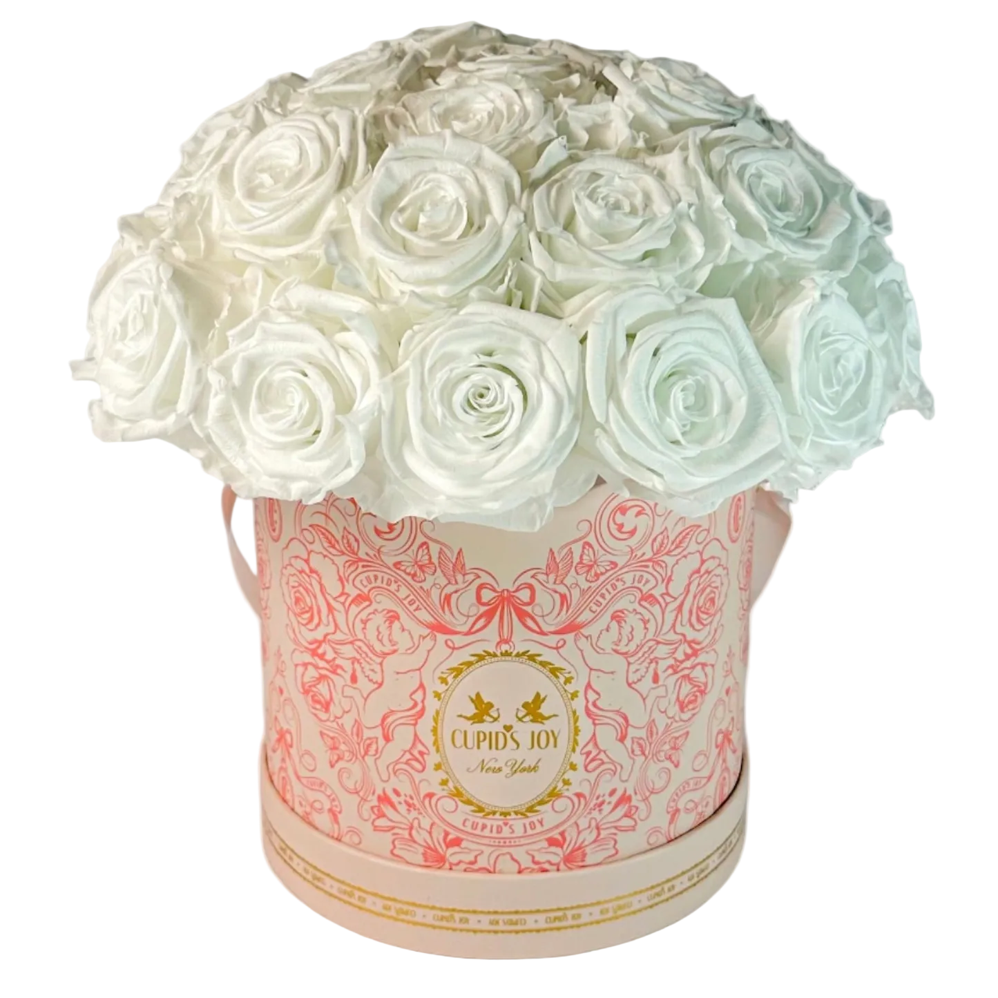 Cupid Rose Box | Dome — Large